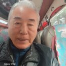 송인숙 Daum카페
