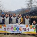 차씨네농장 이미지