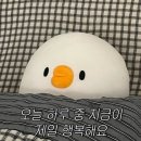 캠린이 쀼의 우당탕탕 우니메이카 태안 방문 후기⛺️ (7번사이트)