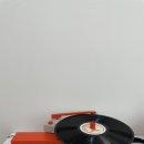 해브피피(HavePP) 이미지