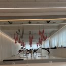 용천초등학교 | <탄츠테스워크샵 후기>용인시 처인구 역북동 (플라잉요가테스)