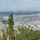 석수시장_하 이미지