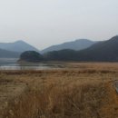 용원농장 네이버블로그