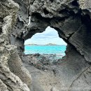 월정항아리갈치구제주해물통 | [제주/조천] 제주 동쪽 뚜벅이 여행, 갈치조림 맛집 ‘월정 항아리 갈치’ 솔직 후기
