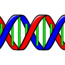 제이에스바이오텍 이미지