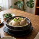 홍삼&타올나라 | 집에서 만드는 진한 삼계탕 레시피 — 닭 손질부터 국물 깊게 우리는 법, 속 재료 황금 비율까지 완벽...