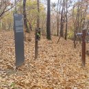 대전둘레산길(10구간) 이미지