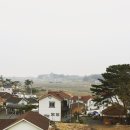 간드리집 이미지