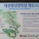 나드리목장 이미지