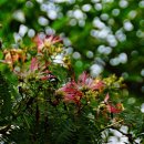 抑何心腸 이미지