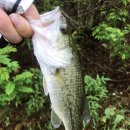 모차호텔 이미지