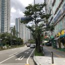 고봉민김밥인 화성북광장점 이미지