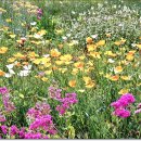 송현공원 이미지