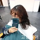 하루인헤어