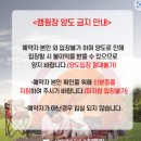 가족과 함께 하는 부산 삼락오토캠핑장 A-27 사이트 1박2일 후기