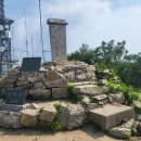 NR-5[경북대로]-상-239 | [이기환의 흔적의 역사] 풀포기의 기적… 진흥왕 순수비 한 글자(典) 극적으로 읽어냈다