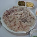 창녕 남지 맛집 승민바다회센타 단골 횟집