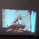 금일초등학교 이미지