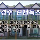 맘앤독스 이미지