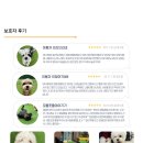 🌈 사랑스러운 반려견을 위한 애견 유치원 &amp; 호텔 (놀러오개 화성 병점진안점) 보상정책 안내 🌈