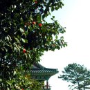 화신모텔
