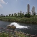 피노키오 놀이터 이미지