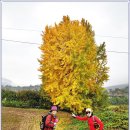 섬진강자전거길1 이미지