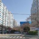 뉴비디오 이미지