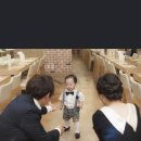 모멘트H+ 이미지