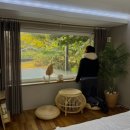 느링느링스테이 이미지