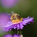 버디골프스쿨 | 전라남도 장성군 버디골프스쿨, 후기, 주차, 위치