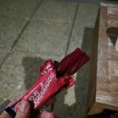 영주해피마트 | 🇳🇿뉴질랜드 여행 Day3, 북섬에서 남섬으로