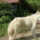 성문 농장 이미지