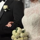 멜로우호텔 이미지