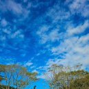 아산면사무소 | 전북 고창 여행 가을에 가기좋은 선운산 국민여가 캠핑장 후기