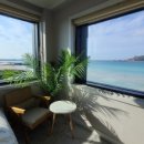 바다아리 이미지