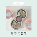 한우소고기9900 | 대용량 영아 이유식 소고기 한우 토핑 이유식 후기