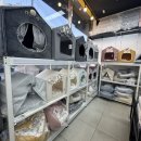 야옹아 멍멍해봐 양주점 이미지