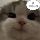 [요리주점] 서울 마포구 연남동술집 '전주상회'