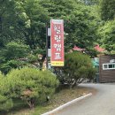 별빛마루글램핑 캠핑장 | 경주 글램핑 추천 힐링캠프 힐링글램핑 내돈내산 (자리추천,부대시설)