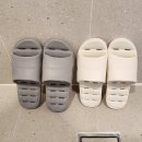 강릉애 진심 이미지