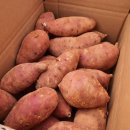 참조은농장 이미지