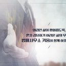 변호사김정은법률사무소 이미지