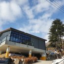 올라알파카 카페 이미지