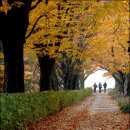 유스호텔 진입로  유스호텔 이미지