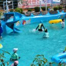 전주고덕펜션 이미지