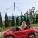 댕그라운드 이미지