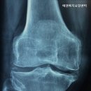 에덴복지요양센터 이미지