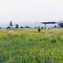 시산양수장 네이버블로그