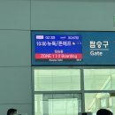 2020 코로나블루 극복하기 | 뉴욕 폭설 속 첫날 기록 | 센트럴파크 눈풍경 자연사박물관 인비저블월드 팝업베이글